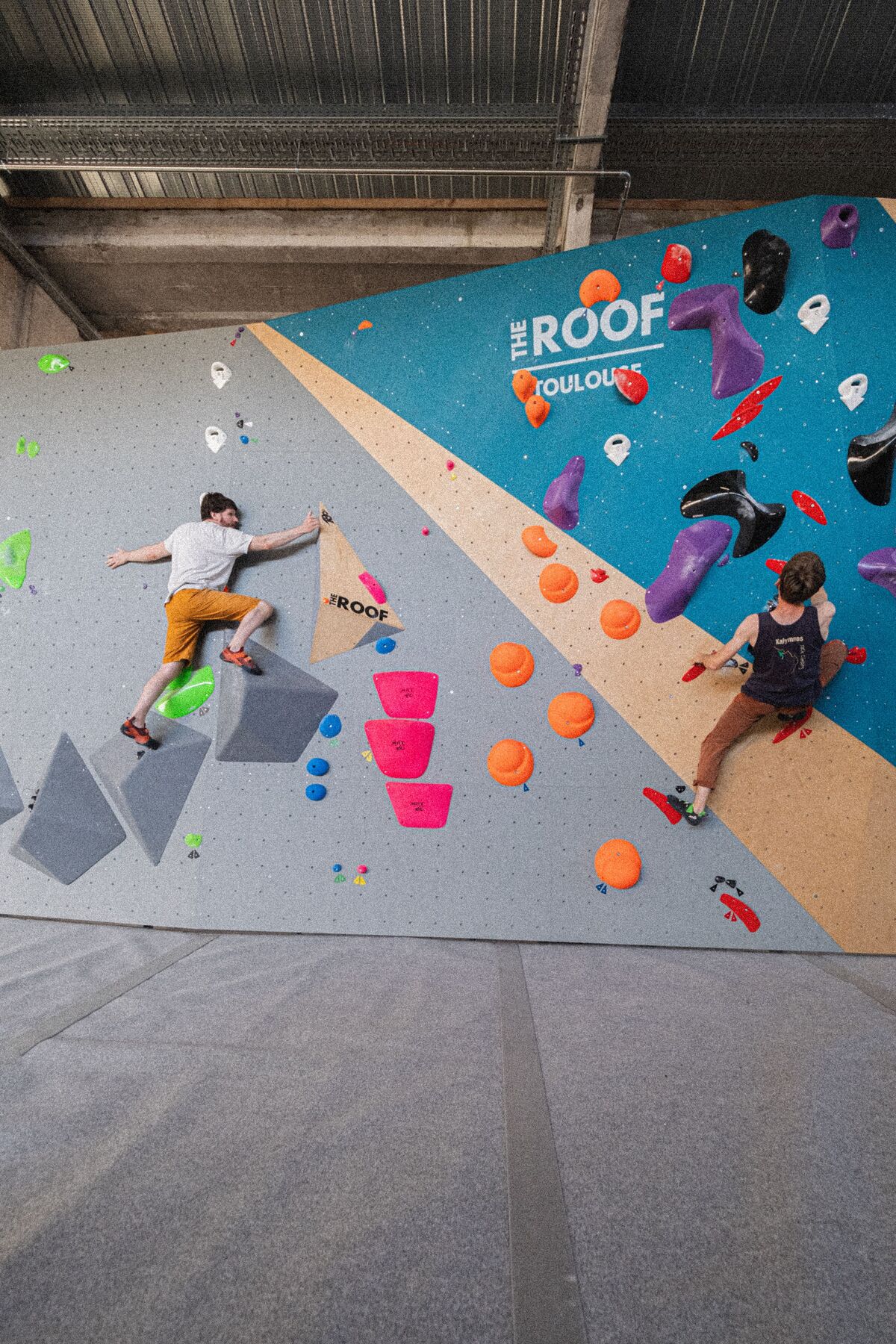 The Star Wars Trilogy - A Special Omnibus Edition